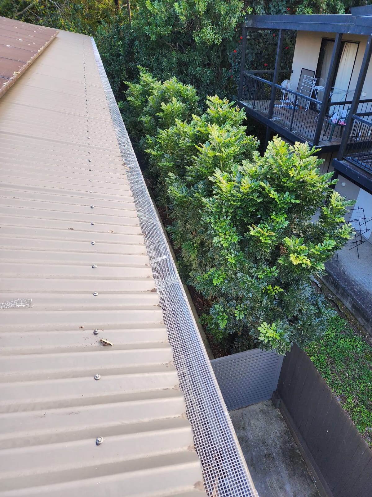 New gutter guard mesh installed on a Brisbane home