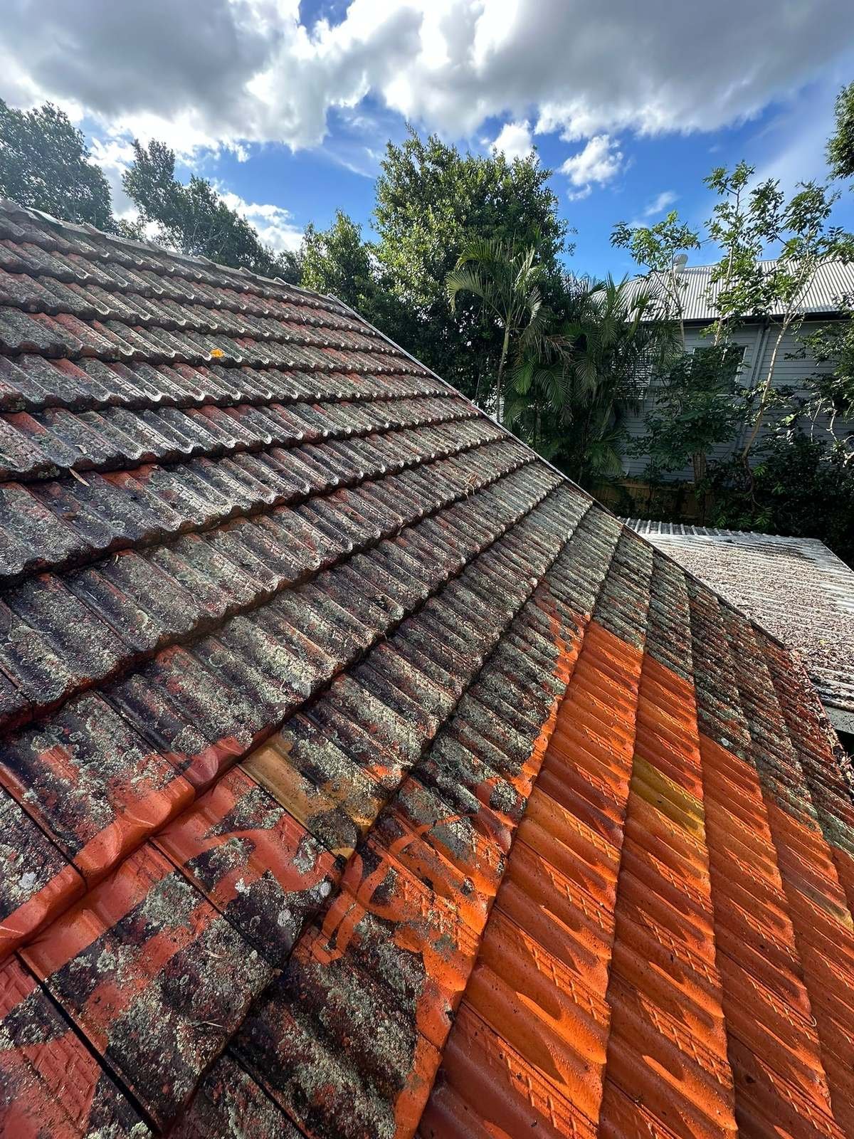 Tile roof half cleaned, showing the difference against the untreated side