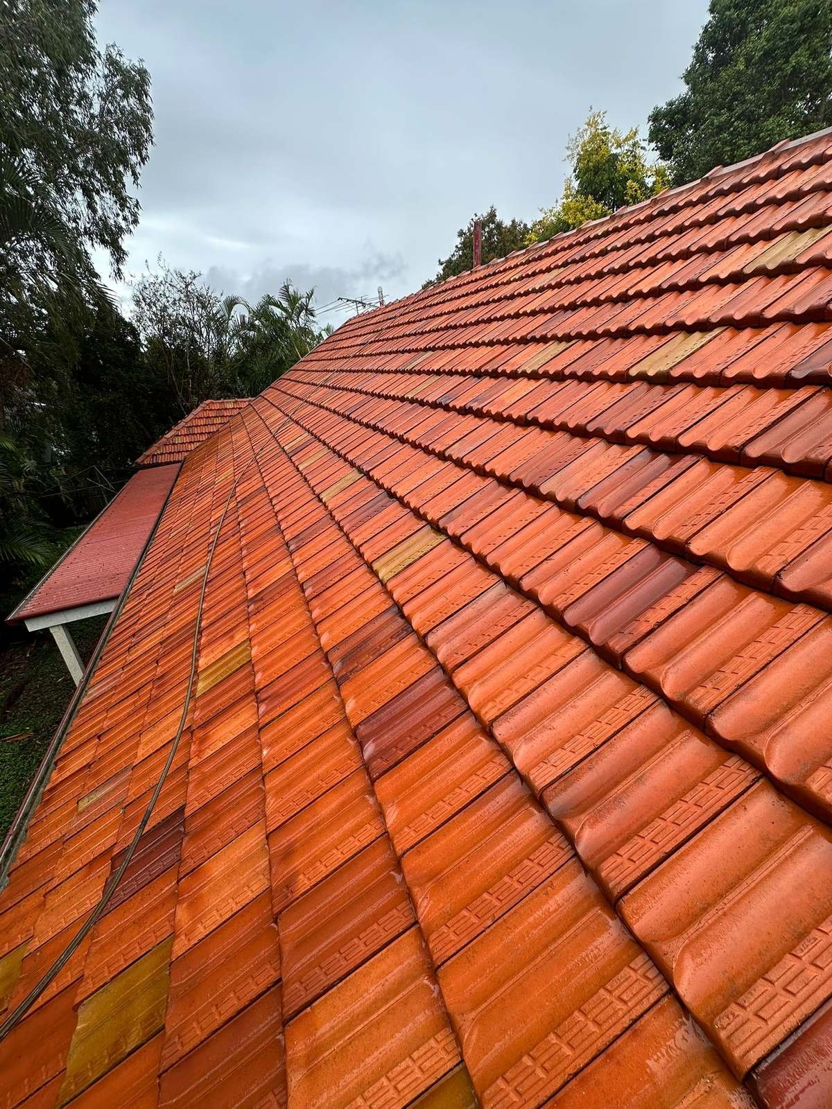 Terracotta tile roof after cleaning and sealing in Brisbane